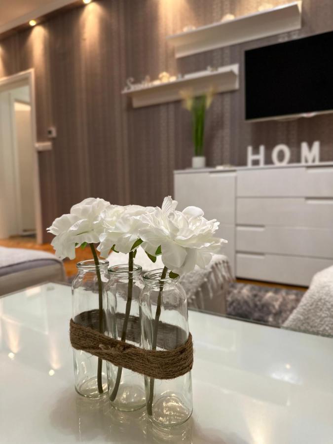 Luxury Apartment